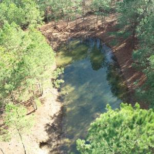 Photo #24 of LANKFORD HWY, PARKSLEY, VA 45.3 acres