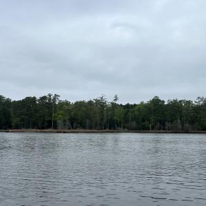Photo #5 of RED BANK LN, MELFA, VA 3.4 acres