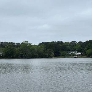Photo #6 of RED BANK LN, MELFA, VA 3.4 acres