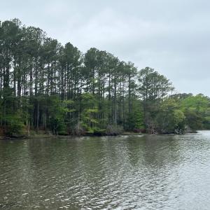 Photo #7 of RED BANK LN, MELFA, VA 3.4 acres