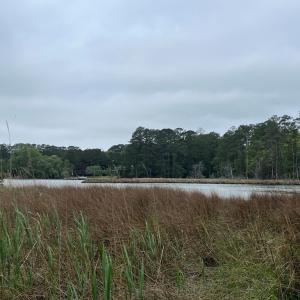 Photo #10 of RED BANK LN, MELFA, VA 3.1 acres