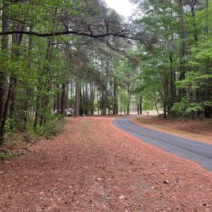Photo #5 of RED BANK LN, MELFA, VA 3.1 acres