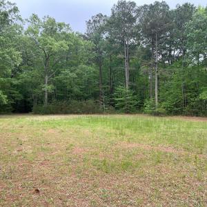 Photo #7 of RED BANK LN, MELFA, VA 3.1 acres