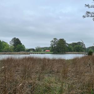 Photo #8 of RED BANK LN, MELFA, VA 3.1 acres