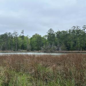 Photo #9 of RED BANK LN, MELFA, VA 3.1 acres