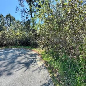 Photo #10 of 267/268 WILD PONY COURT, CHINCOTEAGUE, VA 0.6 acres