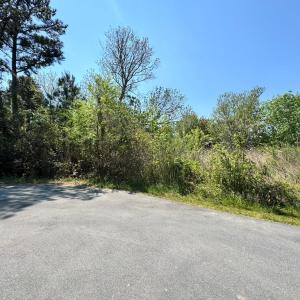 Photo #2 of 267/268 WILD PONY COURT, CHINCOTEAGUE, VA 0.6 acres