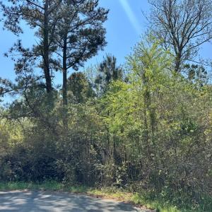 Photo #4 of 267/268 WILD PONY COURT, CHINCOTEAGUE, VA 0.6 acres