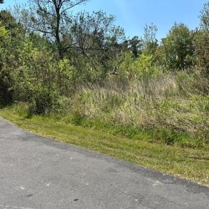 Photo #5 of 267/268 WILD PONY COURT, CHINCOTEAGUE, VA 0.6 acres