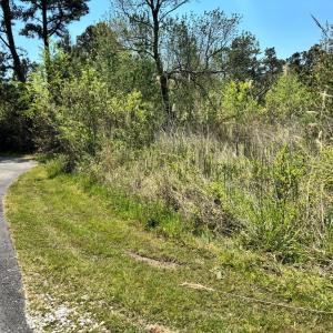 Photo #6 of 267/268 WILD PONY COURT, CHINCOTEAGUE, VA 0.6 acres