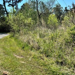 Photo #7 of 267/268 WILD PONY COURT, CHINCOTEAGUE, VA 0.6 acres