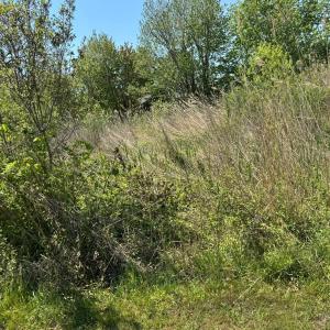 Photo #8 of 267/268 WILD PONY COURT, CHINCOTEAGUE, VA 0.6 acres