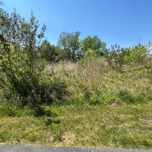 Photo #9 of 267/268 WILD PONY COURT, CHINCOTEAGUE, VA 0.6 acres