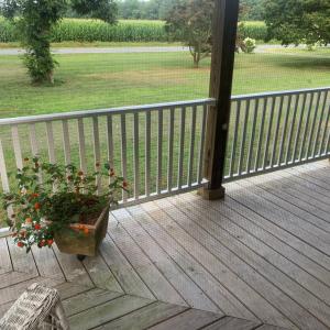 Photo #10 of 18646 AIRPORT DR, MELFA, VA 31.8 acres