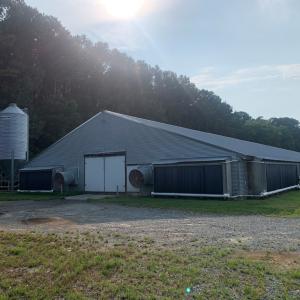 Photo #18 of 18646 AIRPORT DR, MELFA, VA 31.8 acres