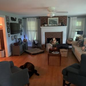 Photo #8 of 18646 AIRPORT DR, MELFA, VA 31.8 acres