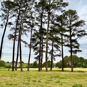 Photo #3 of Lot 435 CAPTAINS CORRIDOR, GREENBACKVILLE, VA 0.2 acres