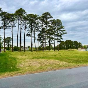 Photo #32 of Lot 435 CAPTAINS CORRIDOR, GREENBACKVILLE, VA 0.2 acres