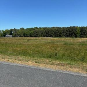 Photo #13 of WILSONIA DR, MACHIPONGO, VA 5.0 acres