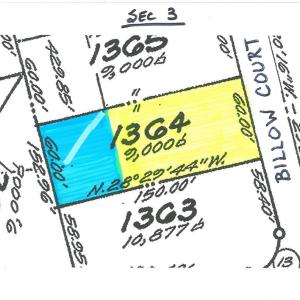 Photo #9 of 1364 BILLOW CT, GREENBACKVILLE, VA 60.0 acres
