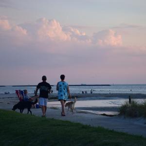 Photo #15 of Lot 2 WASHINGTON AVE, CAPE CHARLES, VA 0.1 acres