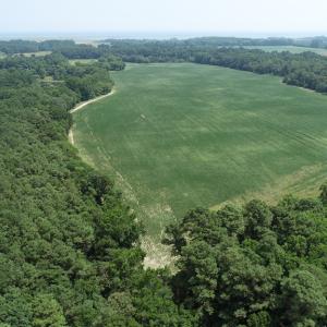 Photo #10 of #57,#154 METOMPKIN RD, PARKSLEY, VA 163.2 acres