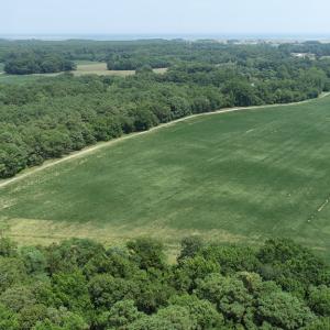 Photo #11 of #57,#154 METOMPKIN RD, PARKSLEY, VA 163.2 acres