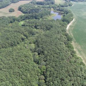Photo #13 of #57,#154 METOMPKIN RD, PARKSLEY, VA 163.2 acres