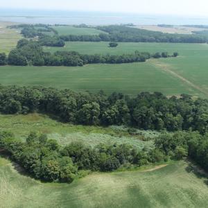 Photo #15 of #57,#154 METOMPKIN RD, PARKSLEY, VA 163.2 acres