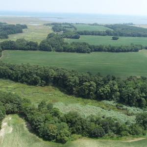 Photo #16 of #57,#154 METOMPKIN RD, PARKSLEY, VA 163.2 acres