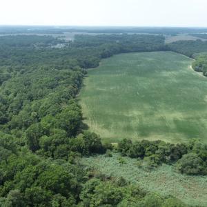 Photo #19 of #57,#154 METOMPKIN RD, PARKSLEY, VA 163.2 acres