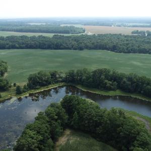 Photo #2 of #57,#154 METOMPKIN RD, PARKSLEY, VA 163.2 acres
