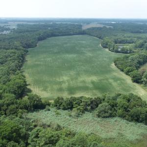 Photo #20 of #57,#154 METOMPKIN RD, PARKSLEY, VA 163.2 acres