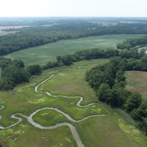 Photo #26 of #57,#154 METOMPKIN RD, PARKSLEY, VA 163.2 acres