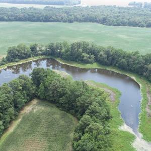 Photo #33 of #57,#154 METOMPKIN RD, PARKSLEY, VA 163.2 acres