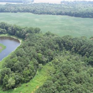 Photo #36 of #57,#154 METOMPKIN RD, PARKSLEY, VA 163.2 acres