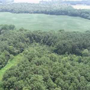 Photo #37 of #57,#154 METOMPKIN RD, PARKSLEY, VA 163.2 acres