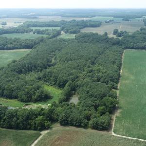 Photo #38 of #57,#154 METOMPKIN RD, PARKSLEY, VA 163.2 acres