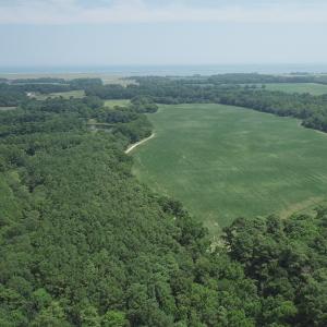 Photo #39 of #57,#154 METOMPKIN RD, PARKSLEY, VA 163.2 acres