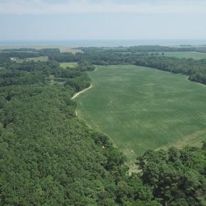 Photo #40 of #57,#154 METOMPKIN RD, PARKSLEY, VA 163.2 acres