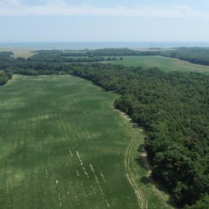 Photo #41 of #57,#154 METOMPKIN RD, PARKSLEY, VA 163.2 acres