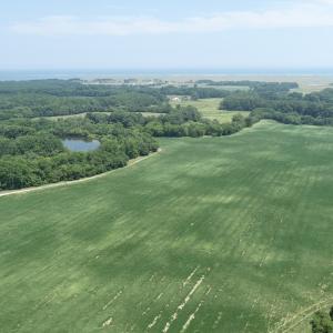 Photo #43 of #57,#154 METOMPKIN RD, PARKSLEY, VA 163.2 acres