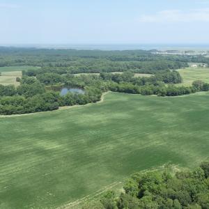 Photo #45 of #57,#154 METOMPKIN RD, PARKSLEY, VA 163.2 acres