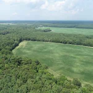 Photo #47 of #57,#154 METOMPKIN RD, PARKSLEY, VA 163.2 acres