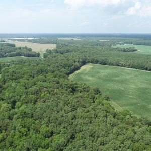 Photo #49 of #57,#154 METOMPKIN RD, PARKSLEY, VA 163.2 acres