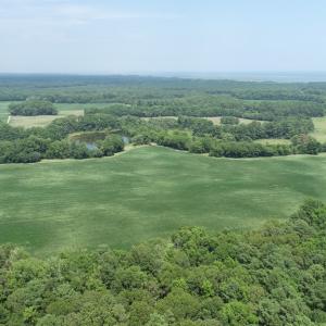 Photo #5 of #57,#154 METOMPKIN RD, PARKSLEY, VA 163.2 acres