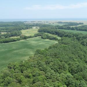 Photo #6 of #57,#154 METOMPKIN RD, PARKSLEY, VA 163.2 acres