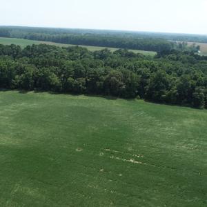 Photo #7 of #57,#154 METOMPKIN RD, PARKSLEY, VA 163.2 acres