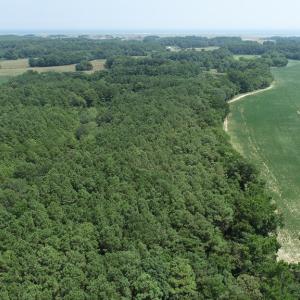 Photo #9 of #57,#154 METOMPKIN RD, PARKSLEY, VA 163.2 acres