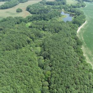 Photo #12 of #57,#154 METOMPKIN RD, PARKSLEY, VA 163.2 acres